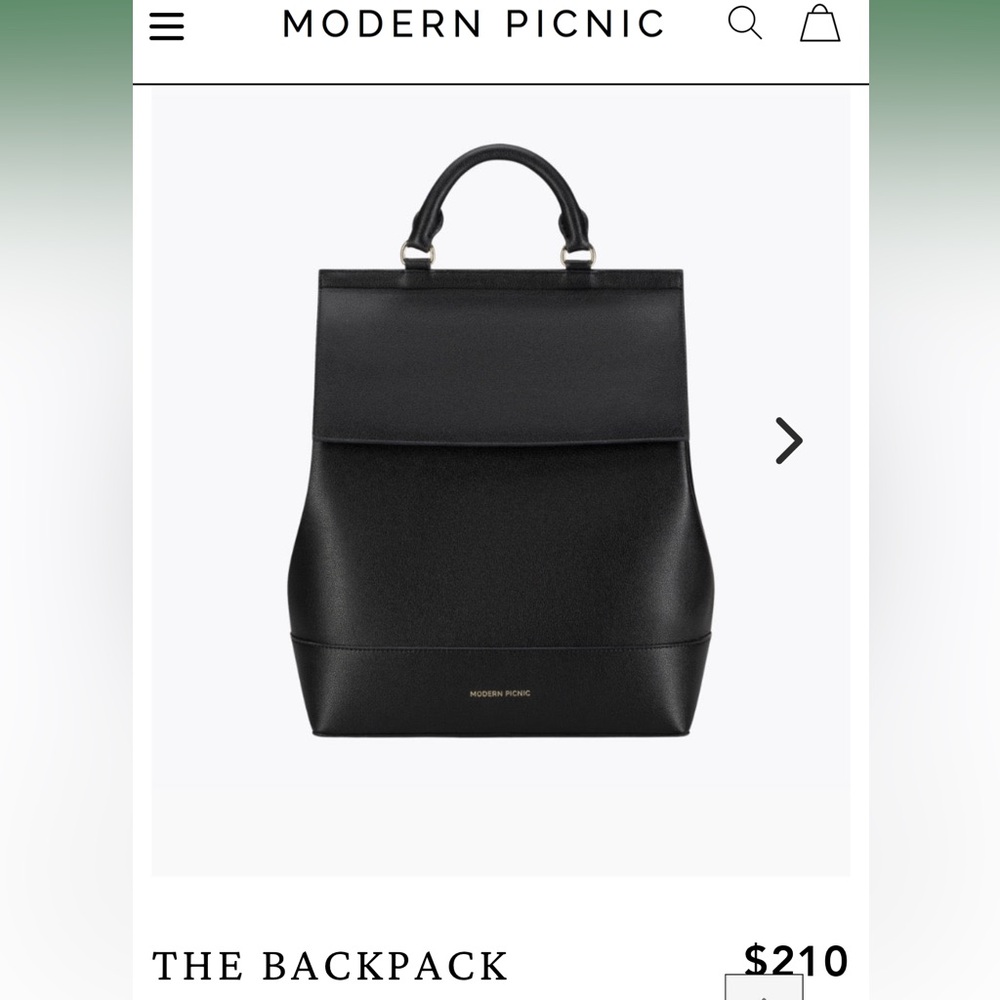 Modern picnic backpack